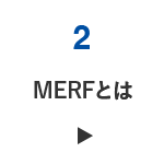 MERFとは