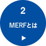 STEP2 MERFとは